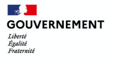 Gouvernement_logo
